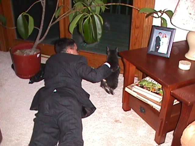 iancat.jpg (28886 bytes)
